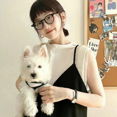 疯狂的狮王
